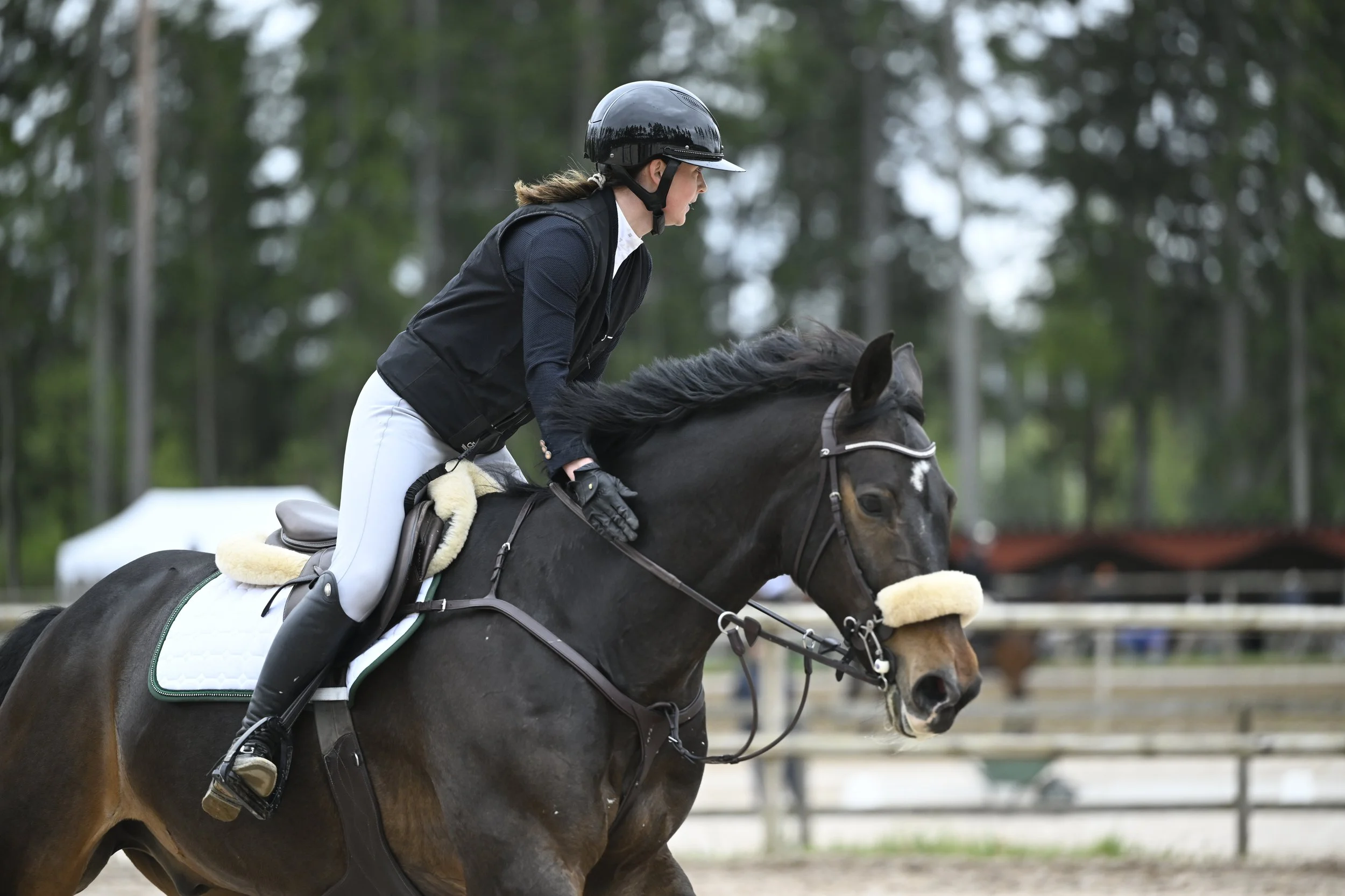 A horse and rider working in the arena at Hagby Farm